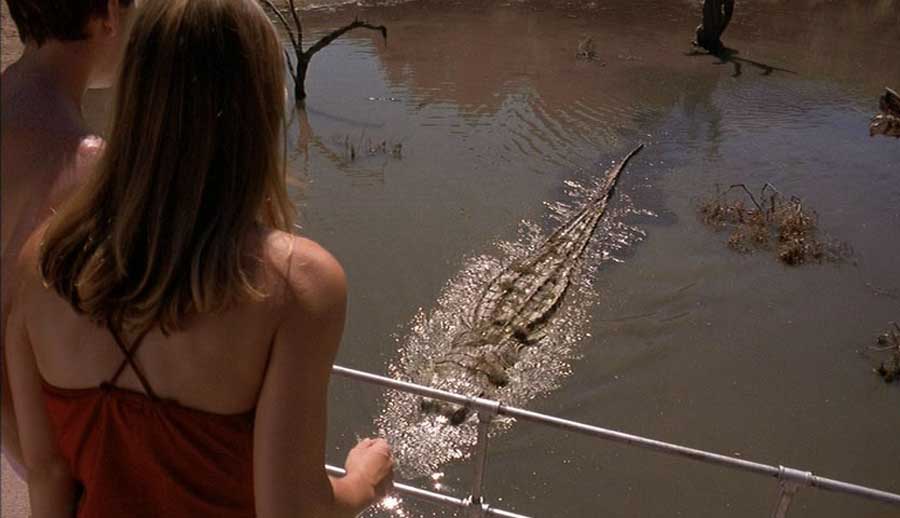 2000 Crocodile